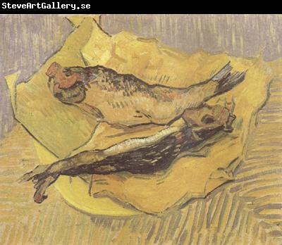 Vincent Van Gogh Crab on Its Back (nn04)